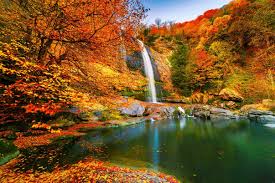 Las 8 Características del Otoño Más Importantes