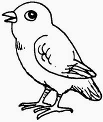 Kicau burung murai batu master suara burung murai batu untuk memancing. Gambar Lukisan Burung Hitam Putih Cikimm Com