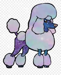 Download Miniature Poodle Clipart 4864205 Pinclipart
