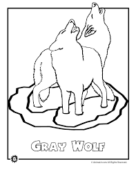 Your kids will increase their vocabulary by learning about different anima. Endangered Gray Wolf Woo Jr Kids Activities Children S Publishing