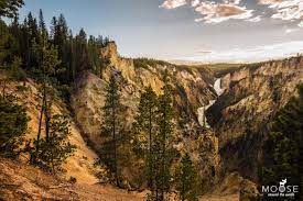 Yellowstone, with over 2,000 campsites, making it a perfect destination for families of all ages. 10 Tipps Fur Den Yellowstone Nationalpark In Den Usa