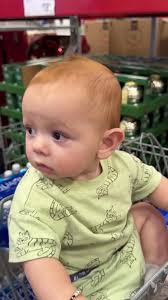 12 Ft Members Mark Augusta Pine in Sams