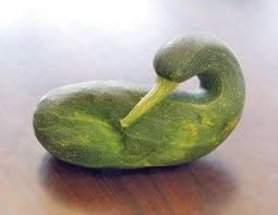 We did not find results for: Duck Shaped Zucchini Funny Vegetables Funny Fruit Food Humor