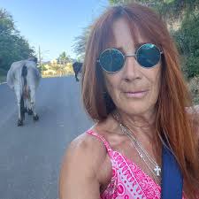 Where to find young laying hens near Zanesville, Ohio?