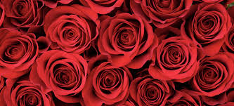 Enjoy the featured valentine's day special articles, ideas, crafts, recipes and more, collected from all over the internet so that you don't waste your time looking for ideas while searching the. Making Valentine S Day Special For Your Loved Ones Oakmont Of Santa Clarita