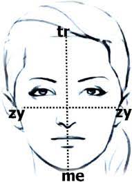 It is the awareness of the small variations in these proportions from person to person that enables us to create a realistic portrait of the individual. Divine Proportion Of The Face Download Scientific Diagram