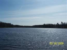 Twin lake, michigan detailed profile. Beautiful Lot On Goose Egg Lake Land For Sale In Twin Lake Muskegon County Michigan 15081 Landflip