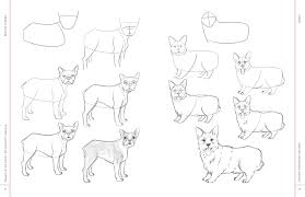 Check spelling or type a new query. Amazon Com Draw Like An Artist 100 Realistic Animals Step By Step Realistic Line Drawing A Sourcebook For Aspiring Artists And Designers 9781631598197 Melissa Washburn Books