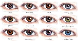 hazel color chart eye color odds eye color wikipedia natal