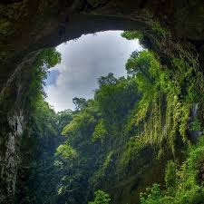 Gua Terbesar Dunia Di Vietnam Jelajah Di Dalamnya Ada Sungai Dan Hutan Pelancongan Explorasa Forum Cari Infonet Mobile Powered By Discuz