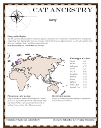 Feline dna testing analyses your cat's genetic makeup to provide insight about their ancestry, breed groups they belong to, similarity to wild cats and more! Cat Ancestry Veterinary Genetics Laboratory