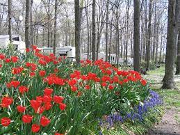 Oak Grove Park 4 Photos Hatfield Pa Roverpass
