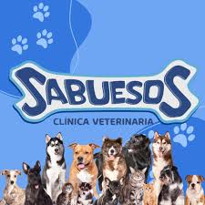 Sabuesos Veterinaria