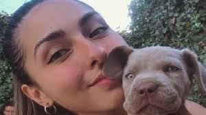 San Juan: atropellaron a su perrito y necesita 40 mil pesos para su  tratamiento