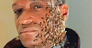 Movie platform © 2020 powster. Candyman Producer Says New Film Will Address Toxic Fandom Produced By Deadline