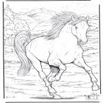 Here is wanted chapter on kleurplaten mandala moeilijk paarden. Kleurplaten Paarden Kleurplaten Dieren