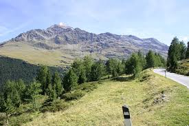 Dagelijks bijgewerkte informatie over de toegankelijkheid van alpenpassen en alpenwegen in oostenrijk. 8 Mooie Bergpassen In Italie