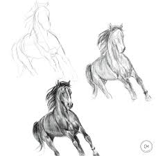 Border Collie Zeichnen Einfach Border Collie Zeichnen Einfach Animal Drawings Horse Drawing Horse Drawing Tutorial