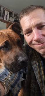 Labubu dog enjoying cake