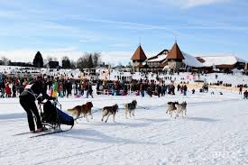Règlement de la fci pour l'octroi du cacit (certificat d'aptitude au championnat international de travail) lors d'épreuves internationales de la fci de courses pour chiens de traîneau. Les Courses De Chiens De Traineaux Sont Compromises Rfj Votre Radio Regionale