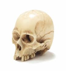 See more ideas about japanese art, carving and japanese. A Japanese Marine Ivory Netsuke Of A Skull