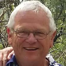 What are the causes of staining around the entrance of a carbonaria hive  and how to deal with ants?