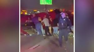 Samantha's Completely Adult Porn - A Radical Collection