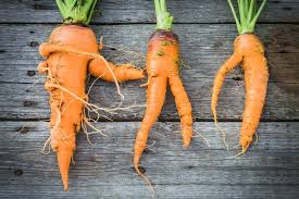 Рыжий ( разг.) carrot приманка. Love Food Hate Waste