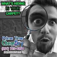 How often do you vacuum your carpet?