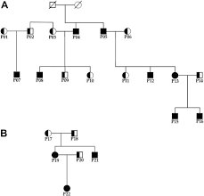 It can cause blood clots and other cardiovascular disturbances, especially later in life. Von Hippel Lindau Dependent Polycythemia Is Endemic On The Island Of Ischia Identification Of A Novel Cluster Sciencedirect