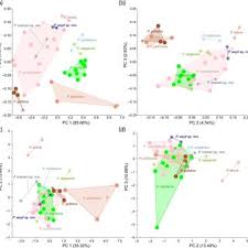 Image result for Hartliella