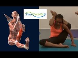 Scrambling on the west ridge of sgurr nan gillean skye. How To Eka Pada Sirsasana Yoga Pose Eka Pada Sirshasana Muscle Anatomy Easyflexibility Youtube