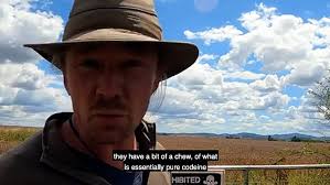 Strong Sense of Place: SSoP Podcast Episode 36 — Tasmania: The Heart-Shaped  Island at the Edge of the World