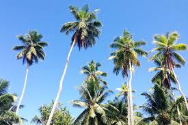 Anse source d'argent travelers' reviews, business hours, introduction, open hours. Traumstrande Der Seychellen Anse Source D Argent La Digue Wolkenweit