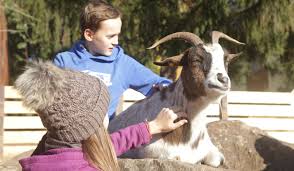 Zoo saarbrücken ist eine deutsche zoo mit sitz in saarbrücken, saarland. Tierisch Lehrreich Forum Das Wochenmagazin