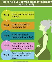 Getting Pregnant Getting Pregnant Tips Ways To Get Pregnant Get Pregnant Fast