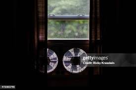 Image result for windows fan boy