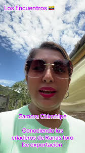 Criadero De Rana Ecuador