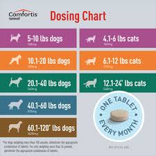 comfortis for dogs cats fast free shipping 1800petmeds