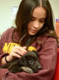 Humane Haven' DECA project working to raise money for pet adoption