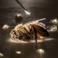 Adventure Series: Inside WonderLab: Exploring Nature's Hidden Worlds