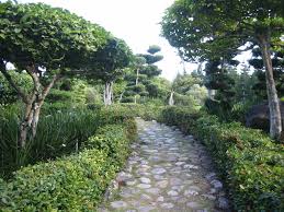 Pin By Rafael David Cambero Gonzales On Back Yard Backyard Landscaping National Botanical Gardens Santo Domingo