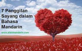 Kalau iut, panggilan untuk suami. 7 Panggilan Sayang Dalam Bahasa Mandarin