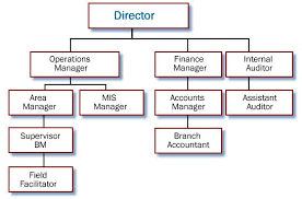 organisational structure