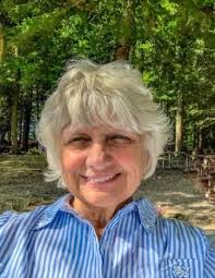 Paulette Anne Remillard Obituary (2025)