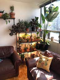 See how these lights might benefit your next cannabis grow. New Grow Light Setup Houseplants