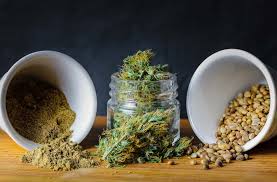 Cannabis Research in Chinese Medicine Finds Broad Medical Potential -  HealthCMi CEUs