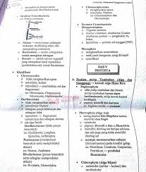 Pin Oleh Anna Zubaidah Di Biologi Biologi Jamur
