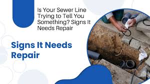 Is Your Sewer Line Trying to Tell You Something? Signs It Needs Repair -  Water Works Plumbing