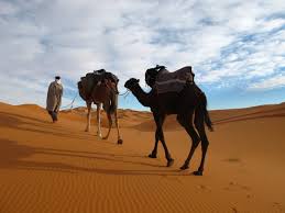 See 62 reviews, articles, and 177 photos of break in the desert morocco, ranked no.24 on tripadvisor among 181 attractions in merzouga. Morocco Desert Camel Trekking Merzouga Erg Chebbi Source Nosade Nosade